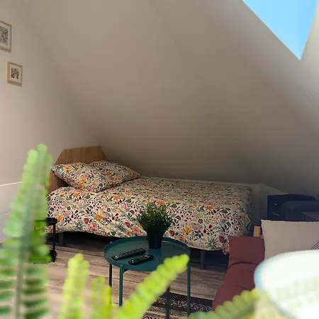 De La Cote Apartment Murol